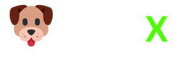 DGX